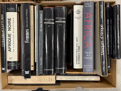 Carton de livres d'Art Africain