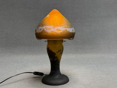 Lampe champignon en verre mulicouhe dégagées...