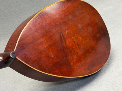 Mandoline J. B FONTANA à placage couleur...