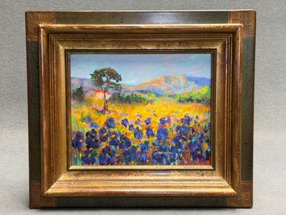 Robert NYEL (1930-2016) 
Iris.
huile sur...