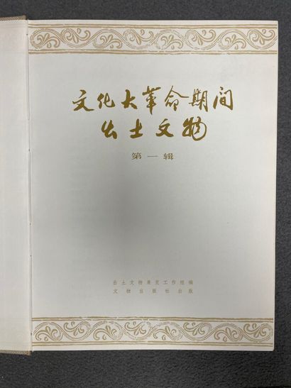 Livre Art Chinois: Reliques culturelles mises...
