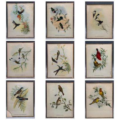 Suite de 9 lithographies anglaises sous verre...