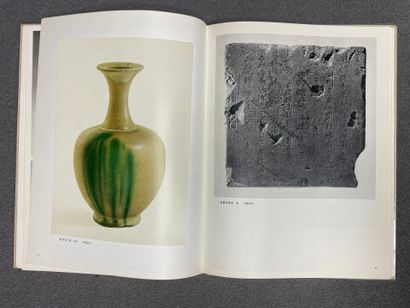 Livre Art Chinois: Reliques culturelles mises...
