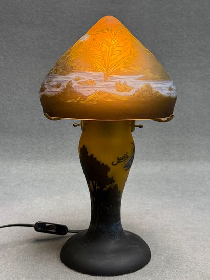 Lampe champignon en verre mulicouhe dégagées...