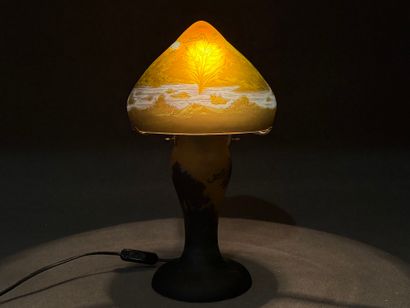 Lampe champignon en verre mulicouhe dégagées...