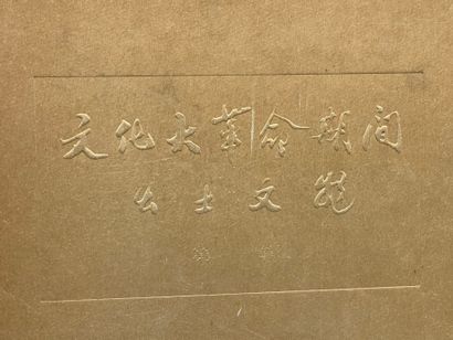 Livre Art Chinois: Reliques culturelles mises...
