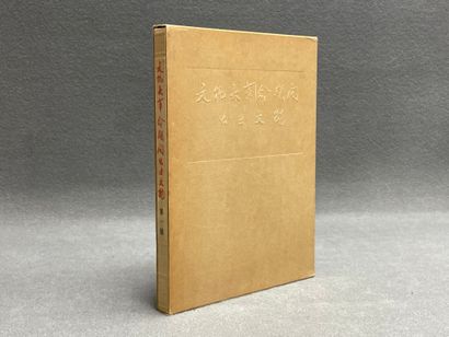 Livre Art Chinois: Reliques culturelles mises...