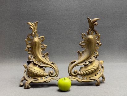 Paire de chenets en bronze de style rocaille.
37...