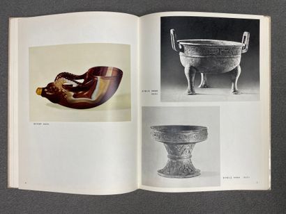 Livre Art Chinois: Reliques culturelles mises...