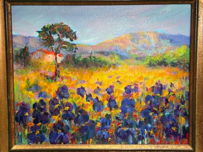 Robert NYEL (1930-2016) 
Iris.
huile sur...