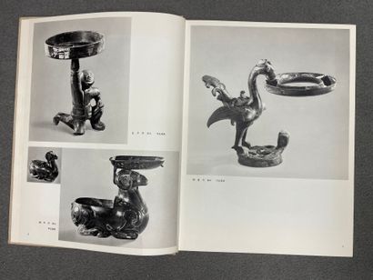 Livre Art Chinois: Reliques culturelles mises...