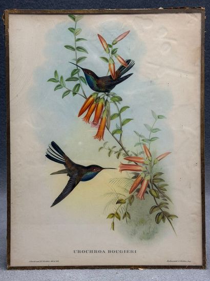 Suite de 9 lithographies anglaises sous verre...