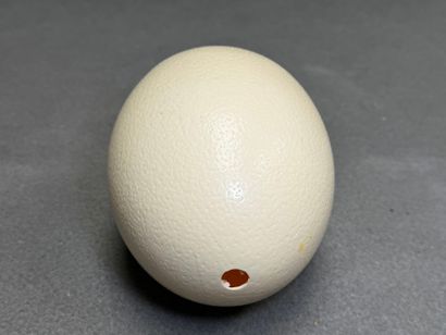 Oeuf d'autruche monté sur trépied en bronze...
