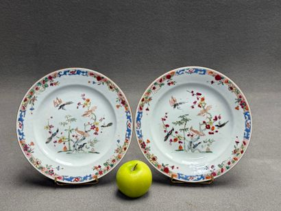 Compagnie des Indes, Chine XVIII°
Paire d'assiettes...