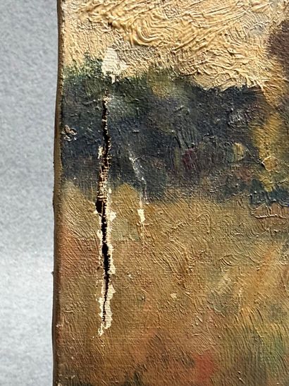 Albert NOLET (XIX°) ? 
Paysage. 
huile sur...