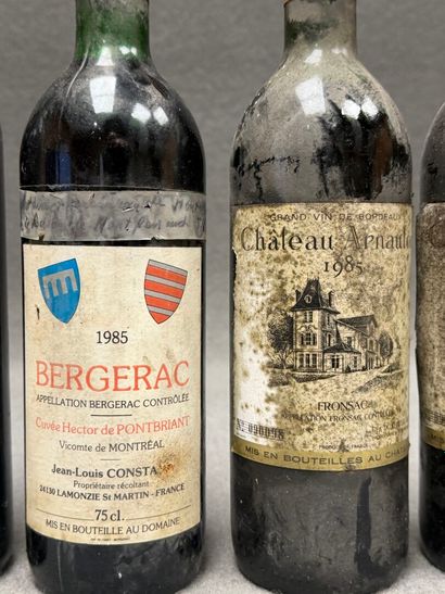 Douze bouteilles de Bordeaux.