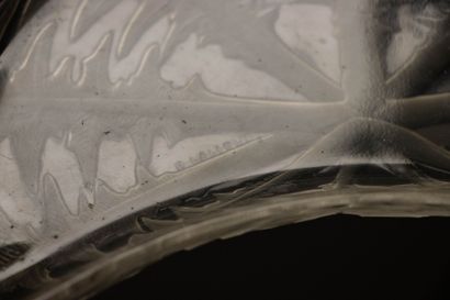 René LALIQUE (1860-1945) 
Two 