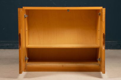 REGAIN House
Sideboard with two elm doors.
72...