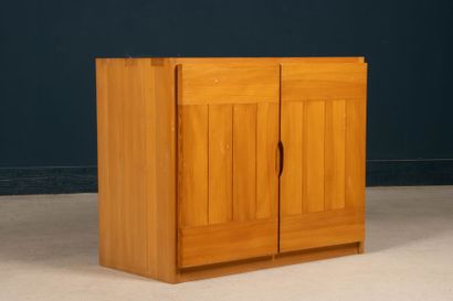 REGAIN House
Sideboard with two elm doors.
72...