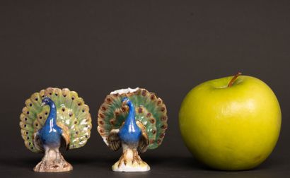 Pair of miniature peacocks doing cartwheels...