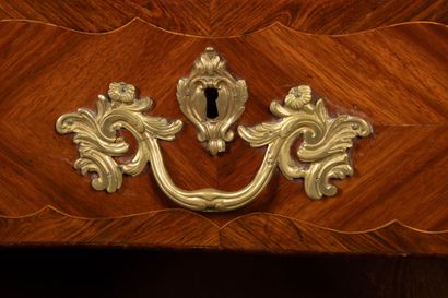 All-sided curved chest of drawers in amaranth...