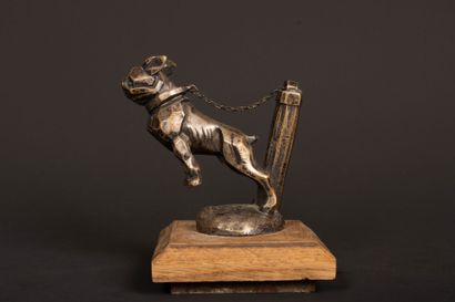 Bouledogue à la chaîne