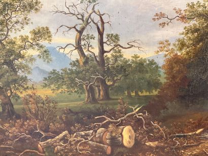 Ecole Française 
Huile sur toile encadrée
Paysage...