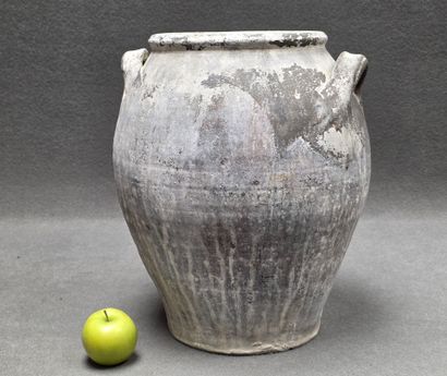 Jarre en terre cuite .XIX°
40 cm
fêle
