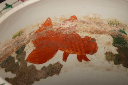 CHINE Aquarium en porcelaine à décor de végétaux...