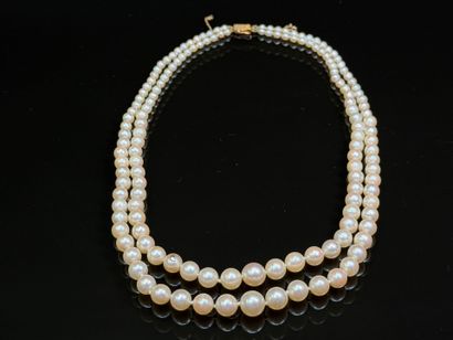 Necklace of cultured pearls, two rows, gold...