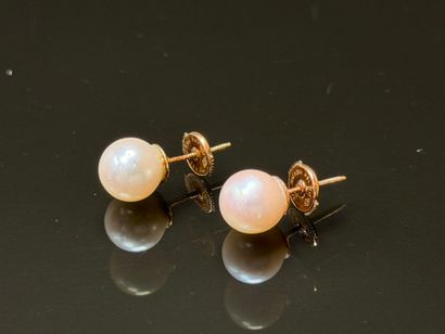 Pair of gold and cultured pearl earrings.
750°/00...