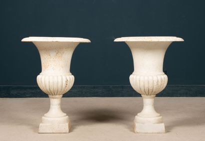 Paire de vases Médicis de jardin en fonte...