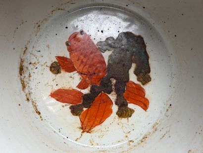 CHINE Aquarium en porcelaine à décor de végétaux...