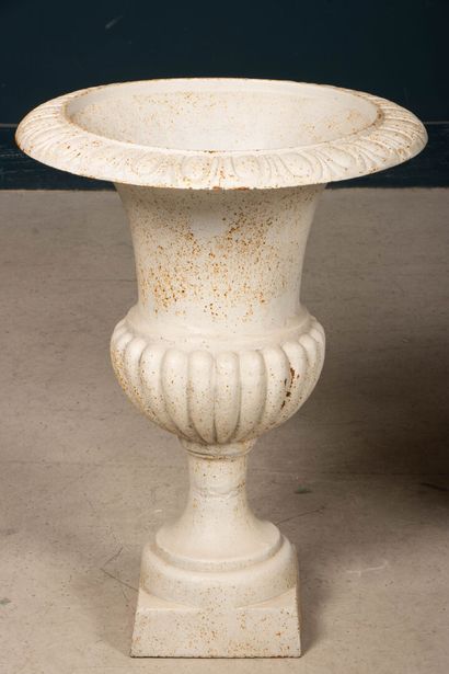 Paire de vases Médicis de jardin en fonte...