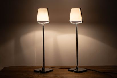 Paire de lampes design Speziell Kollege....