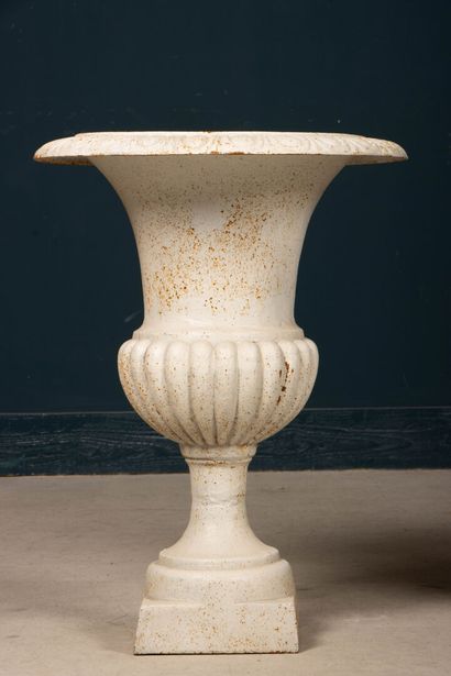 Paire de vases Médicis de jardin en fonte...