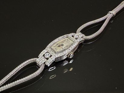 Ladies' watch in platinum and diamonds, white...