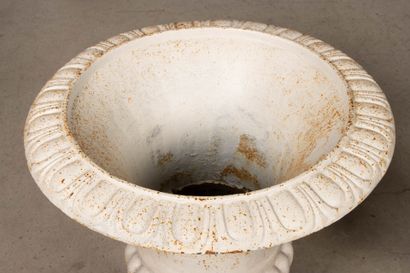 Paire de vases Médicis de jardin en fonte...