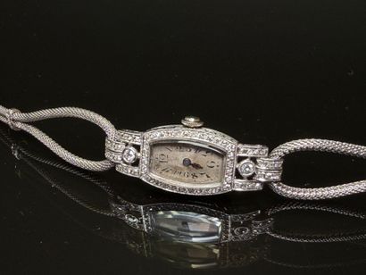 Ladies' watch in platinum and diamonds, white...