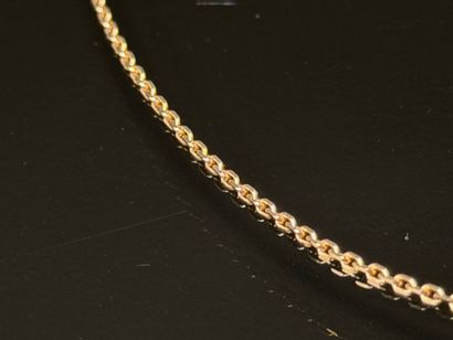 Chain in 750°/00 gold, forçat link.
Length:...