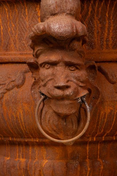 Paire de vasques de jardin en fonte à décor...