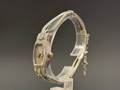 Ladies' watch in platinum and diamonds, white...
