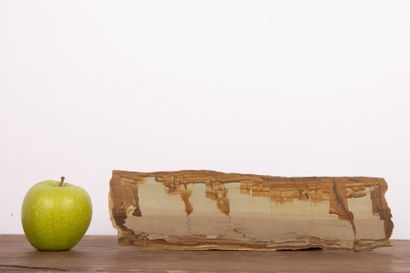 Paesine, ou pierre de Toscane
9.5 x 32.5...
