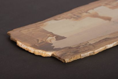 Paesine, ou pierre de Toscane
9.5 x 32.5...