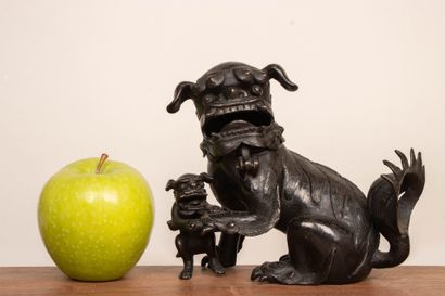 Chien de Fô et son petit, en bronze patiné,...
