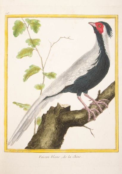 François Nicolas MARTINET (1725/31-1804)...