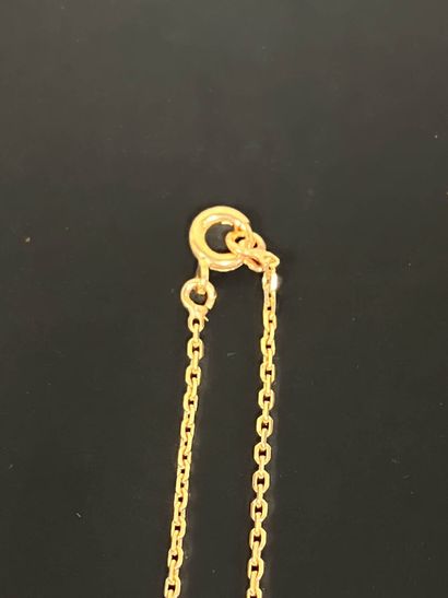 Chain in 750°/00 gold, forçat link.
Length:...