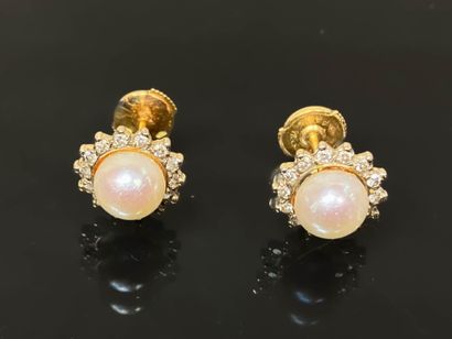 Pair of gold stud earrings adorned with a...