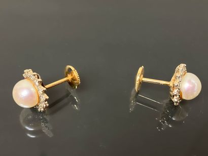 Pair of gold stud earrings adorned with a...