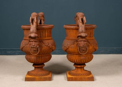 Paire de vasques de jardin en fonte à décor...